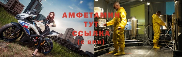 индика Балабаново