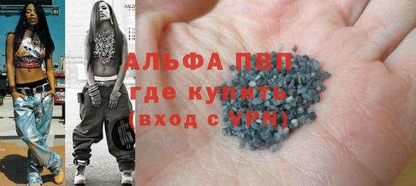 индика Балабаново