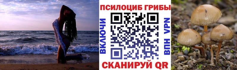 Псилоцибиновые грибы GOLDEN TEACHER  Лагань 