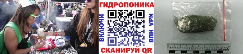 Конопля LSD WEED  Лагань 